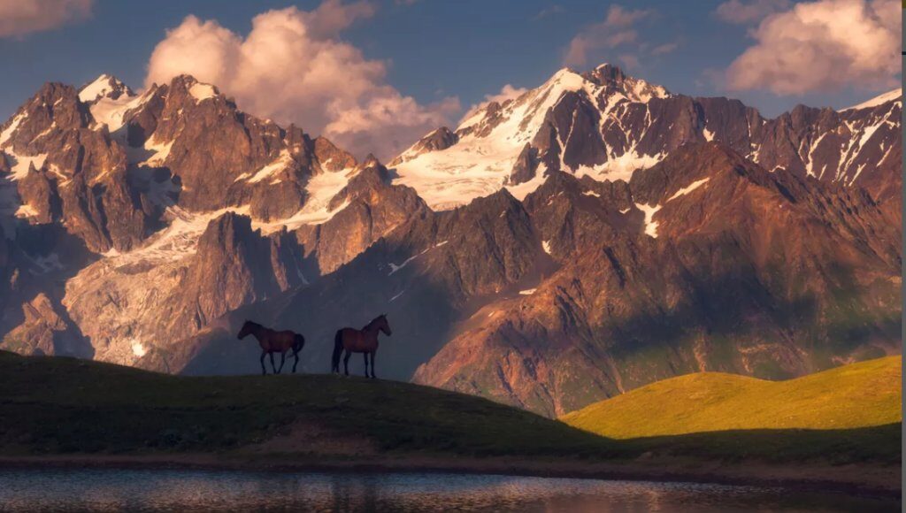 1751626280-fgaro-1024x634